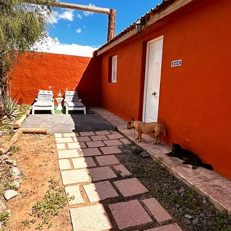 Luxury Private Garden Home Holiday home Ojos de Garza